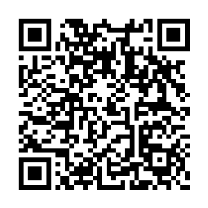 有一道极为强大的气息从前方高速朝你移动过来二维码生成
