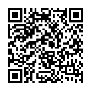 有不少修真者就是在这种大意的情况下被巨齿鼠咬伤二维码生成