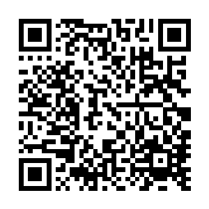 有不少原本打算将自家姑娘送入定王府的人都纷纷沮丧起来二维码生成