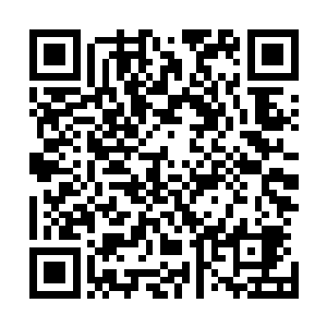 有不死心的学弟学妹就向生物院的学长们打听苏青黛的下落二维码生成