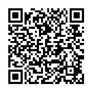 有了更加厉害的武器他们就能打到更多的猎物还不怎么受伤二维码生成
