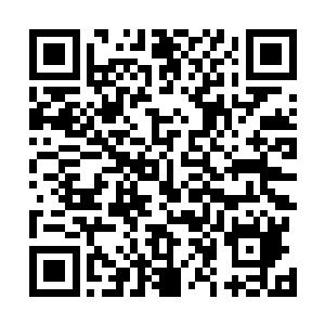有了此前从无到有的建立起一个硕大发行网络的成功经验二维码生成
