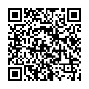 有了私人飞机却没机会用到的高扬本打算坐着飞机去的二维码生成