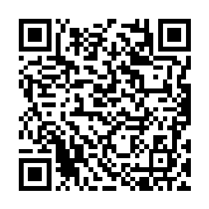 有了这个之后你以后的修炼速度肯定会提升不少的二维码生成