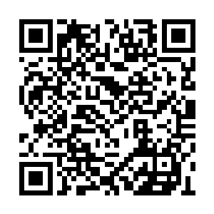 有些不解地看着眼前的这个有些婉约的白衣女子二维码生成