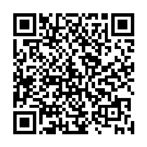 有些人在慌乱地收割着田地里压根就没长好的小麦和水稻二维码生成