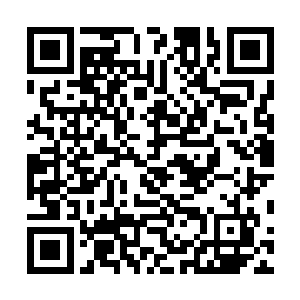 有些人学了一肚子外语和专业知识出国批判资本主义去了二维码生成
