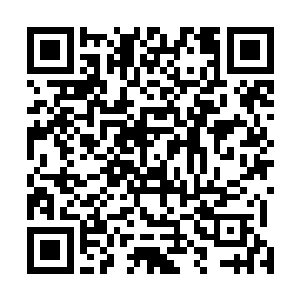 有些人家的门户前还立了雕刻精细的门当或者是小石狮子二维码生成