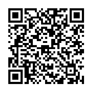 有些仗着家世背景不知天高地厚的家伙交付成绩后二维码生成