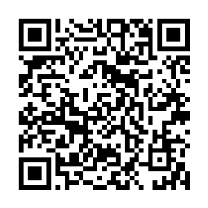有些国家和地区支付给华纳兄弟的分成还需要缴纳税款二维码生成