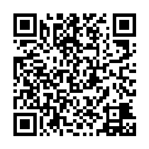 有些惊悚外加恶寒地的注视着这个公认没有节操的家伙……二维码生成