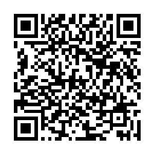 有些惶恐的皮尔嘴角不由的浮现出一抹冷冷的笑容二维码生成