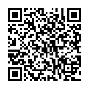 有些理解为什么尉迟霸要让他这个新血来保护楚正青了二维码生成