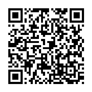 有些还没有死的正在被血族咬住喉咙不停地吸血二维码生成