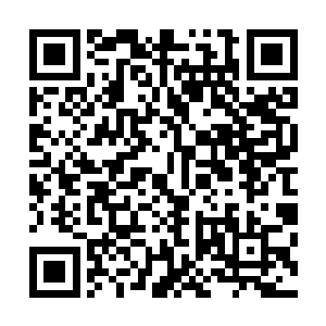有人只是为了一份高收入的工作为了让家人生活的更加美好二维码生成
