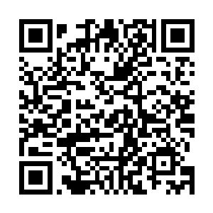 有人在白云中和杨元昭一起出来地下室之后立刻迎了上来二维码生成