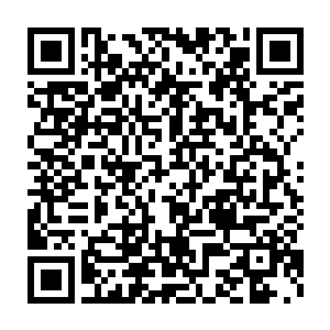 有人在院子里胡乱奔走……而夏初七领着金袖躲在树丛背后吹着冷风二维码生成