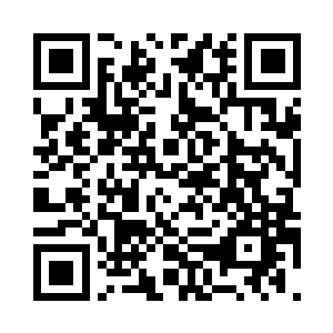 有人看着再次回到邵玄手臂上那只鹰二维码生成