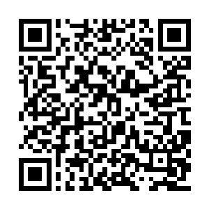 有人说仙尊创造了诸天百界之后便已经是陨落了二维码生成