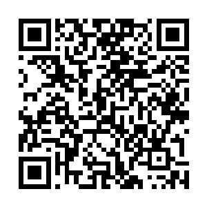 有人说神王虚无是万念俱灰度余生或者找了个地方自杀了二维码生成