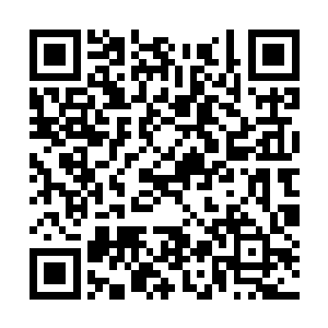 有人说莫不是什么都没有了这家伙准备杀人抢东西二维码生成