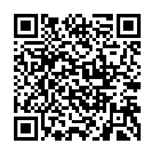 有关于这些消息·是负责双方联络的祝虎带过来的二维码生成