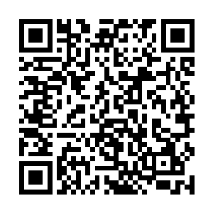 有包括丁铃铛在内的很多人都会跳出来打爆我的狗头二维码生成