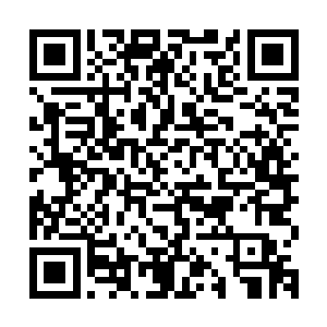 有厉害的类似穿山甲呀刺猬一类进化而来的异兽即便被它吞噬了二维码生成