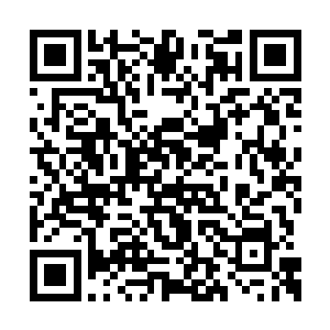 有变化也需要臣亲自去了解状况再承给陛下知晓二维码生成