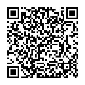 有可能整个冰雪荒原八大熊级部落的钱加起来还没有张铁一个人的多二维码生成