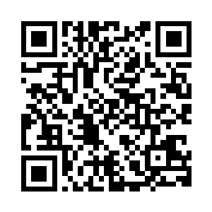 有可能是某种诞生于闪电中的生命二维码生成