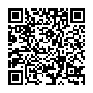有备而来的巩洪臣从包里掏出了一份股权转让协议二维码生成
