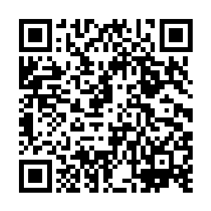 有妈妈领按道理就像是平时一样就快点下来就算了二维码生成