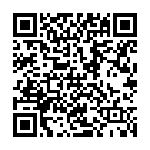 有学有样地包向了lcd的奥巴马和锤石这个下路组合二维码生成