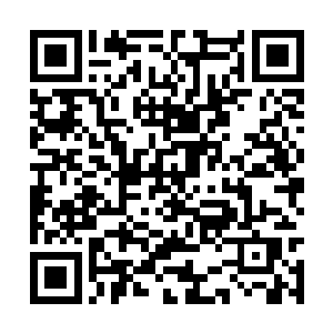 有家族弟子进入铁龙宗的各家各族与那些中小宗派二维码生成