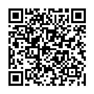 有希望考高中的学生也都加入到了服务学校的队伍中来二维码生成