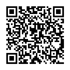 有很多人都因为受不了他这强大的气势而纷纷的低下了头二维码生成