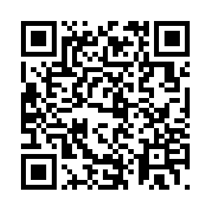 有很多都是参加过小世界大比的修士二维码生成