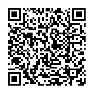 有意无意的第一印象将汉王陛下与咸鱼和米面对等记住……标准的民以食为天二维码生成