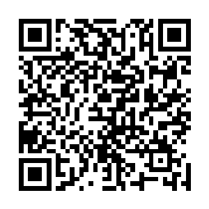 有房师太和凯米莉这两个大能一般的东西方女巫婆帮我牵制二维码生成