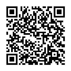 有无比澎湃强大的仙家法力从两人身上如决堤的洪水般爆发而出二维码生成