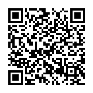 有时候便不是资质天赋越高最后取得的成就就越高二维码生成