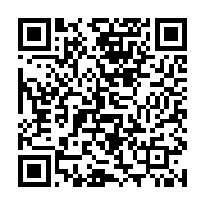 有时候几千年都未必能见到一只成长起来的碧眼金雕二维码生成