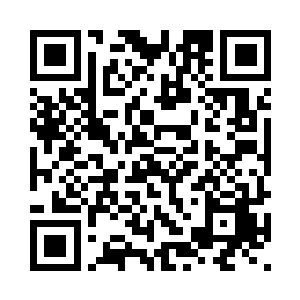 有时候它们找不到合适的地方歇息二维码生成