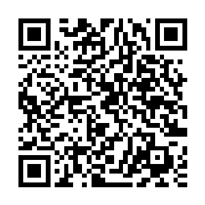 有时候我真的觉得……当我知道你和乔什的真相时我真的觉得二维码生成