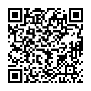 有时候甚至有些恶趣味的直接在路上捡几个普通的石头二维码生成