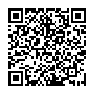 有点难以理解的巴克看见那带着锈迹斑驳又缀满晨露的机炮二维码生成