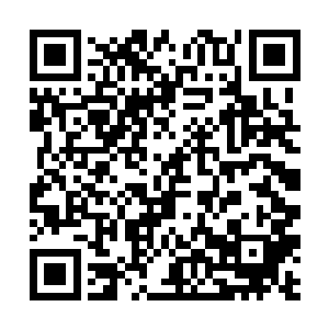 有百分之九十以上的可能就是四大元素之中的火元素二维码生成