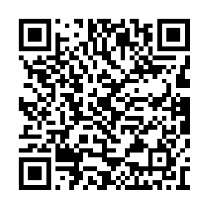 有的人连自己的亲生儿女都可以扒了按在冰地上二维码生成