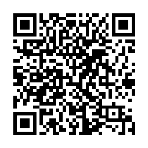 有的则是境界暴涨还有一些则是在里面获得了一些稀有的秘二维码生成